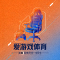 爱游戏体育页脚品牌标志，橙蓝配色电竞风格图标
