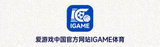 爱游戏中国官方网站IGAME体育页脚品牌标识图标